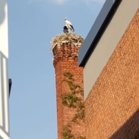 Apartament Am Rathaus