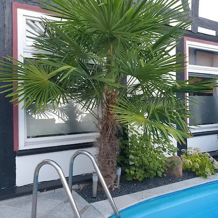 Am Rathaus Appartement *