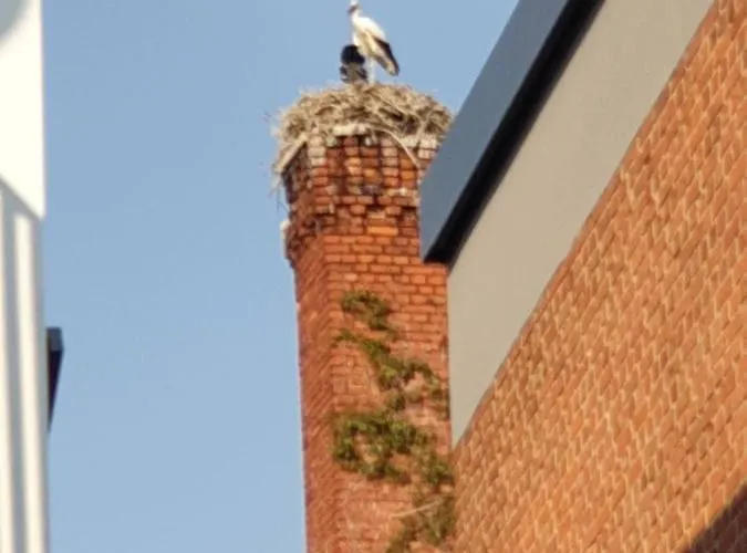 Appartement Am Rathaus